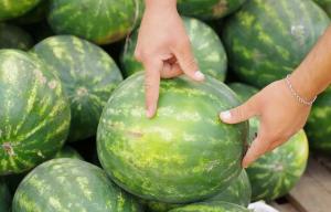 Apa yang harus dicari ketika memilih semangka? 5 tips penting