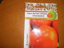 "Bullish oranye hati" - sebuah varietas tomat favorit dengan warna cerah!