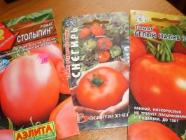 Tanaman pertama tomat - mulai dengan apa nilai?
