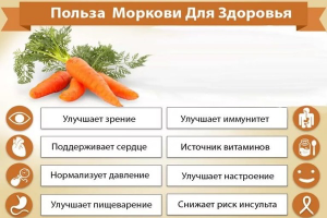 Bagaimana berguna jus wortel, ulasan