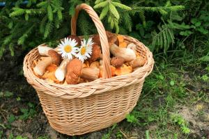 Bumbu lezat untuk jamur setiap ✅ resep saya tidak menyediakan setiap tahun