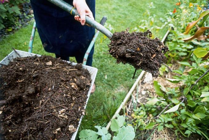 Jarum untuk kompos | Berkebun & Hortikultura