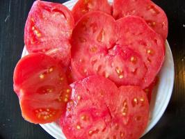 8 varietas yang tidak biasa dan lezat tomat