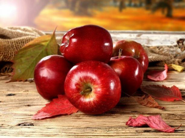 Apa sajakah manfaat apel, dan bisakah mereka membahayakan tubuh