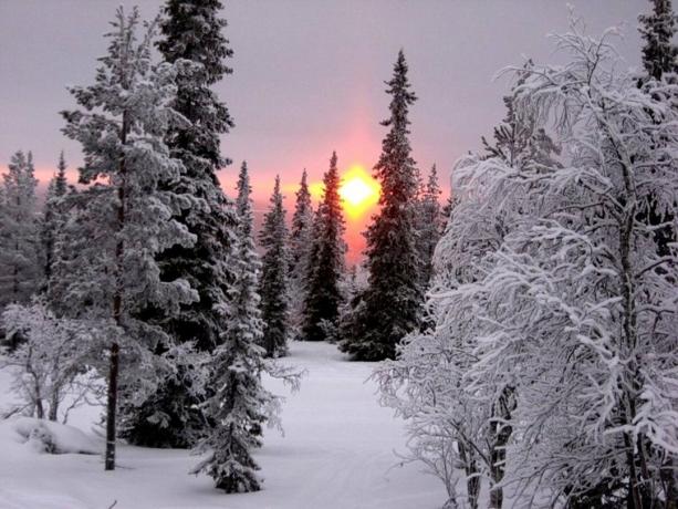 Biarkan musim dingin ini akan setidaknya pada foto yang indah. Sumber: assets.oxu.az
