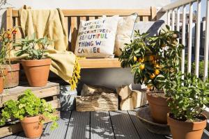 Cara menghias balkon kecil, tanaman dan bunga. 9 solusi yang bermanfaat.