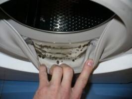 Cara menghilangkan bau apak dari mesin cuci