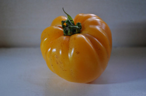5 varietas seri tomat "Vkusnoteka"