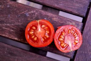 Bagaimana memilih biji tomat bijak