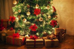 Bagaimana memilih pohon Natal berdasarkan tanda zodiak Anda. 12 ide-ide luar biasa
