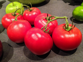 7 terbaik tomat varietas kerdil (outdoor)