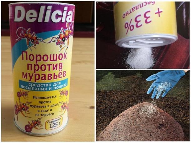 bubuk Delicia dari semut, biaya per 500g, lebih dari 600 rubel.