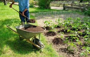 Organik pupuk di kebun: 5 satu terbaik tanpa kimia