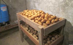 Bagaimana untuk menyimpan kentang di apartemen dan rumah