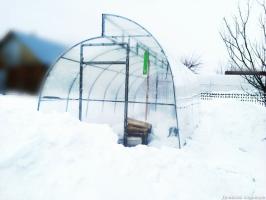 Apakah masuk akal untuk melemparkan salju di rumah kaca musim dingin