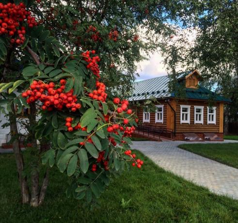 Rowan - ornamen tradisional desa Rusia! (Foto playcast.ru)
