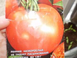 Sow genjah tomat pada awal April. 7 varietas populer