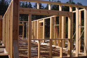 Membangun rumah selama 3 minggu: bangkai