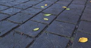 Paving blok terbuat dari kayu terbakar: jalan taman abadi dengan tangannya sendiri