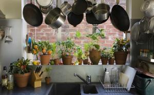 Bagaimana asli dan praktis untuk menambah tanaman indoor dan herbal dalam interior dapur Anda. 7 tips desain