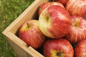 Vitamin disimpan: penyimpanan yang tepat apel di musim dingin