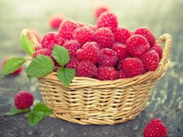 Raspberry akan lebih! 5 disusui yang akan meningkatkan produktivitas dengan 2-3 kali