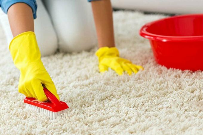 Cara membersihkan karpet tanpa alat khusus?