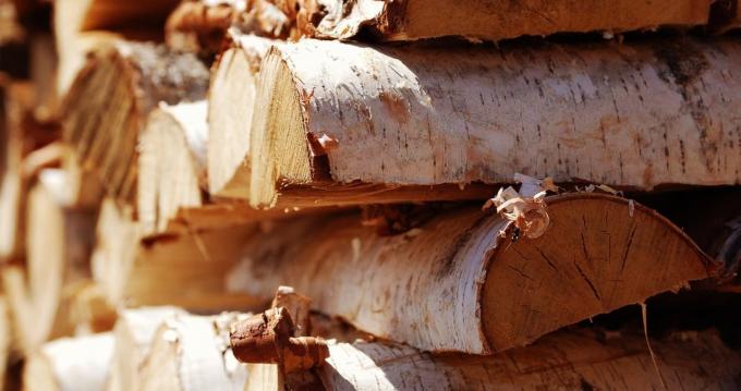 kayu birch hampir ideal untuk tungku tungku